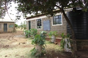 Growing vegetables everywhere